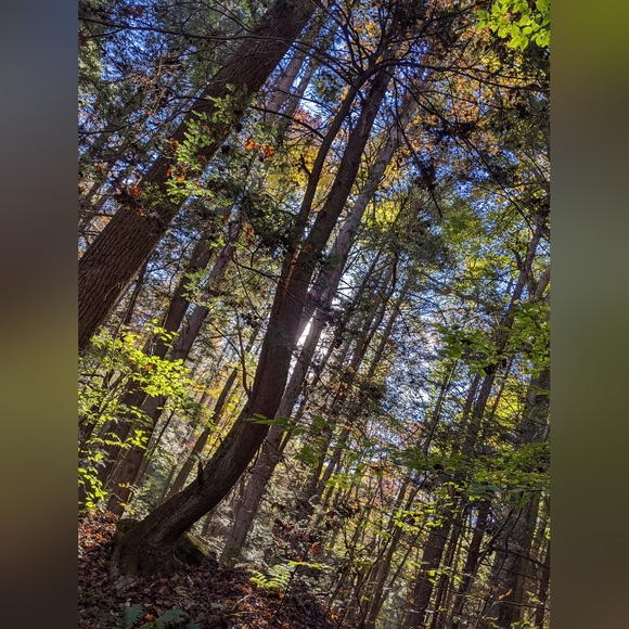 Crafted In West Virginia - Picture 15 of 16